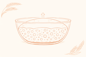 Illustrazione del processo di lievitazione dell'impasto